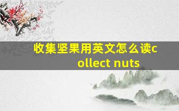 收集坚果用英文怎么读collect nuts